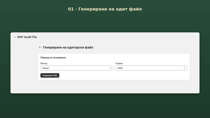 Nap Audit File