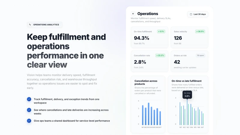 Vision:Analytics, Reports & AI