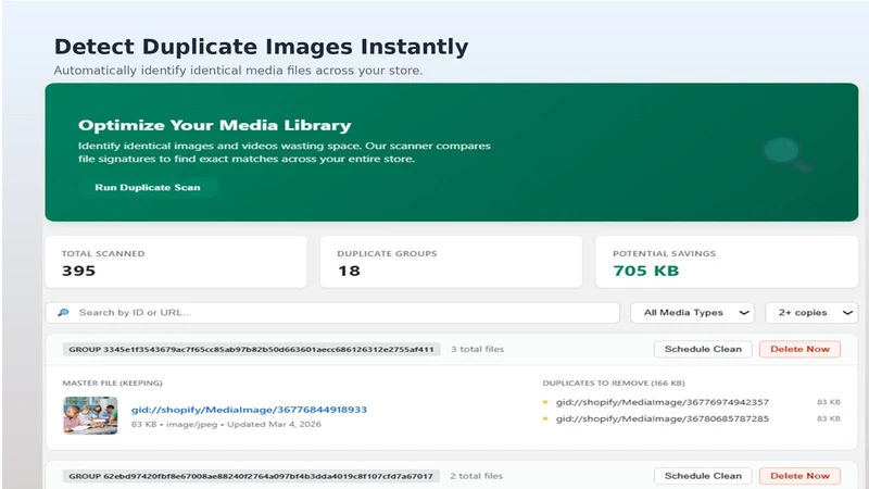NexVault: Digital File Manager