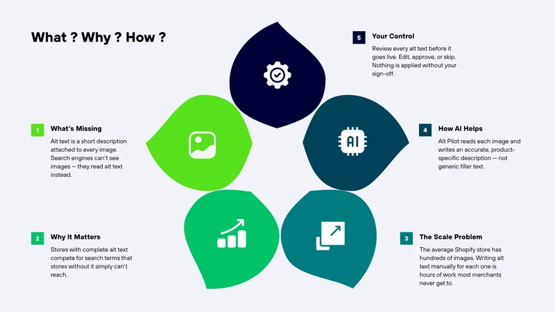 Alt Pilot ‑ Image SEO