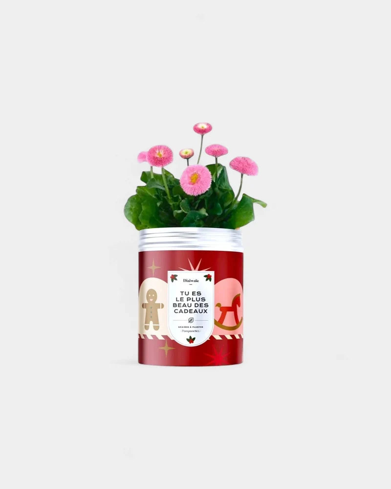 Kits de semillas para plantar personalizables