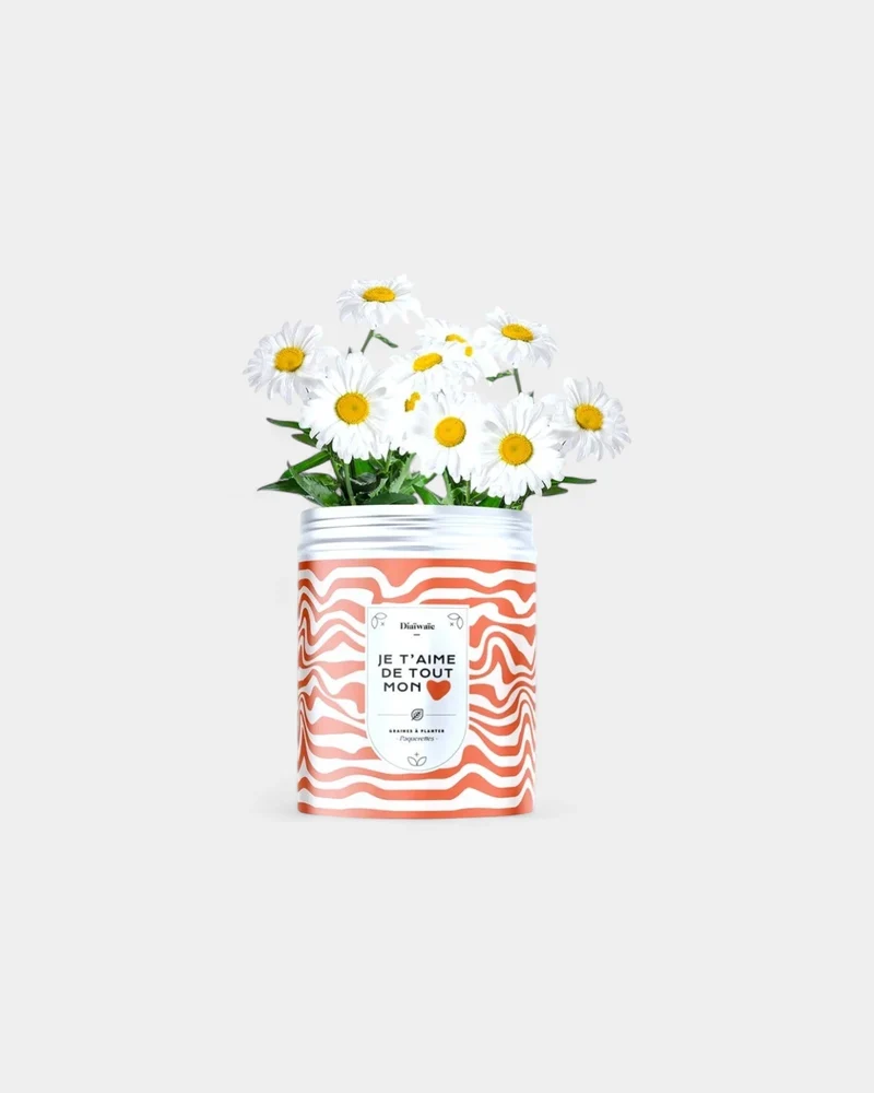 Kits de semillas para plantar personalizables