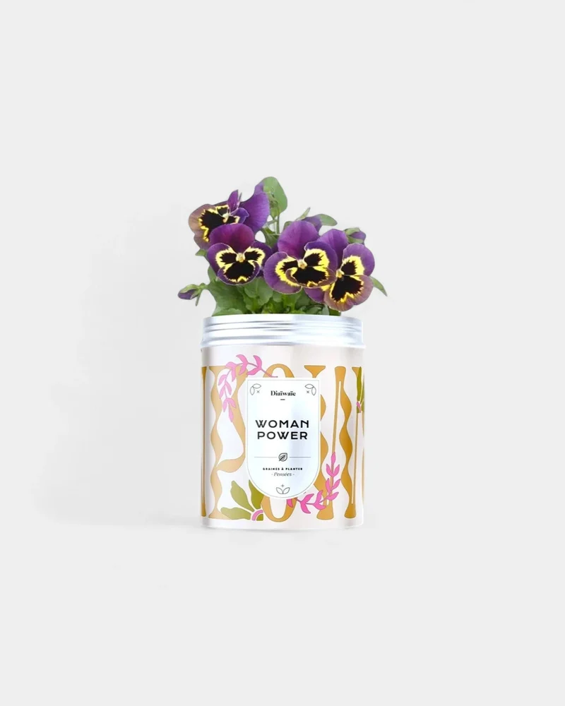 Kits de semillas para plantar personalizables