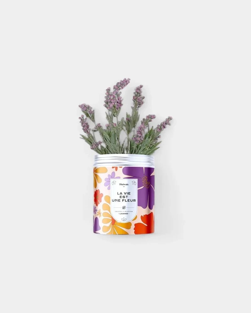 Kits de semillas para plantar personalizables