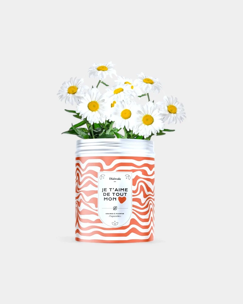 Kits de semillas para plantar personalizables