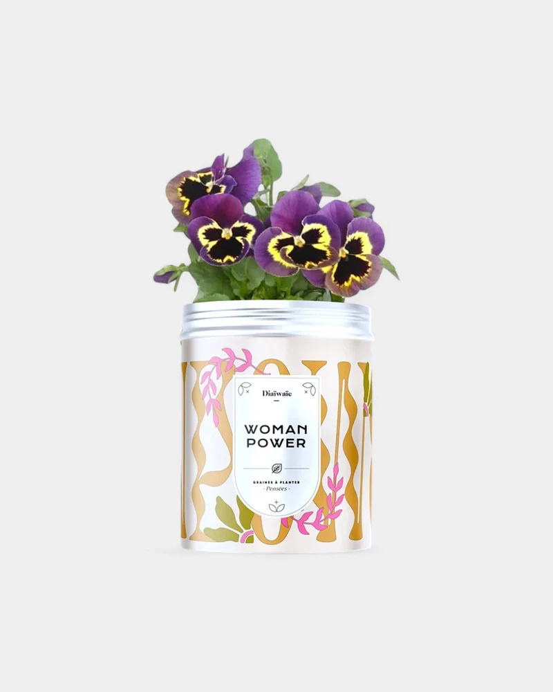 Kits de semillas para plantar personalizables