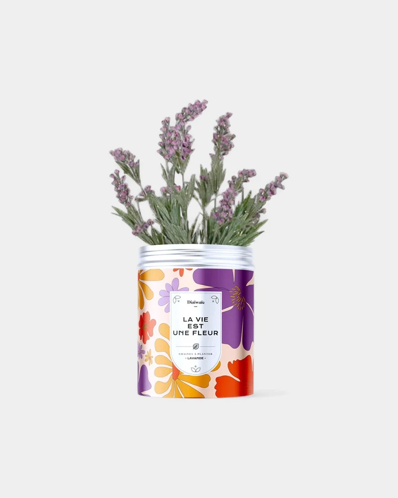 Kits de semillas para plantar personalizables