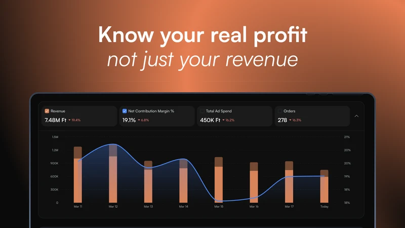 Margyn: Profit & LTV Analytics