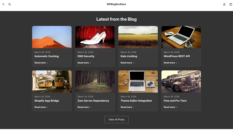 Tidykit WP Blog Feed