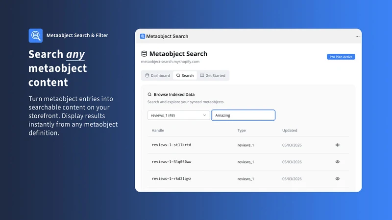 Metaobject Search & Filter