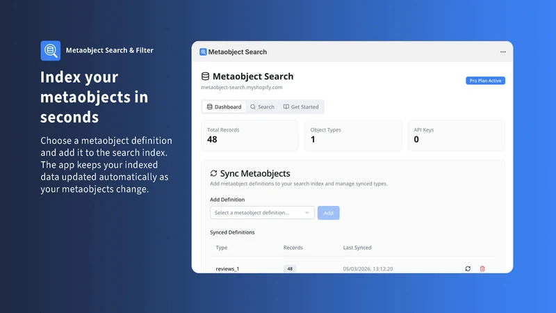 Metaobject Search & Filter