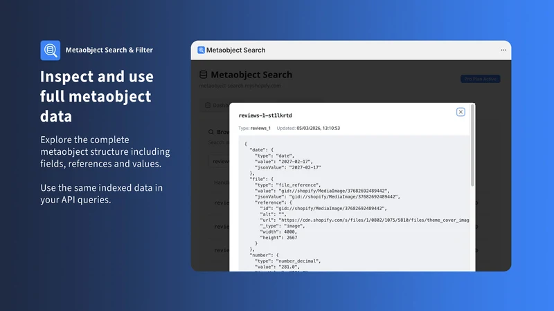 Metaobject Search & Filter