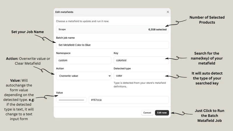 Batchwise: Tags & Metafields