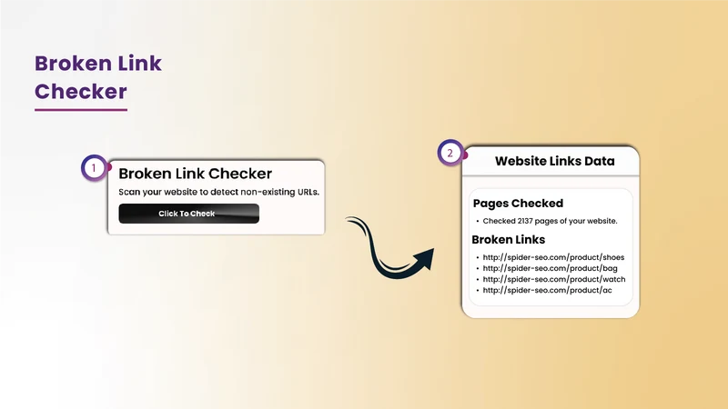 SPIDER SEO Optimizer