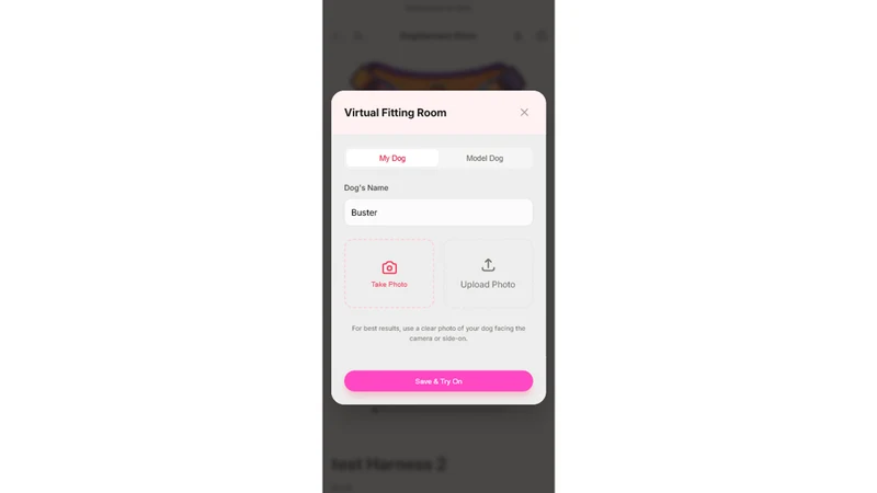 Pawfect Fit: Virtual Try‑On