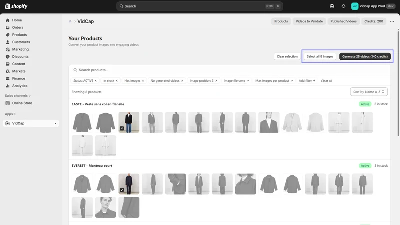 Vidcap ‑ Videos from Images