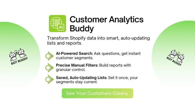 Customer Analytics Buddy