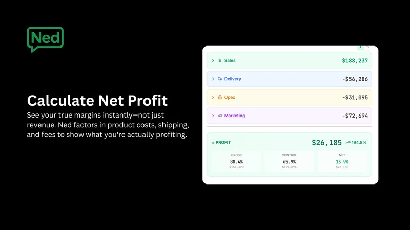 Ned AI ‑ Profit Analytics