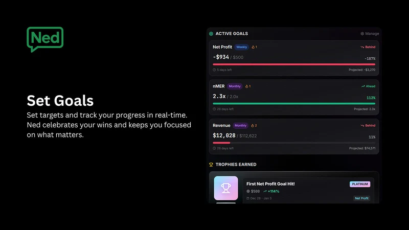 Ned AI ‑ Profit Analytics
