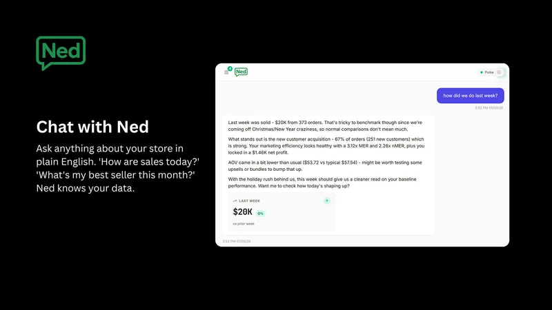Ned AI ‑ Profit Analytics