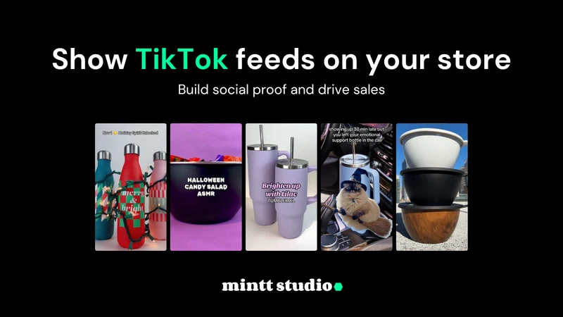 Mintt TikTok Feed