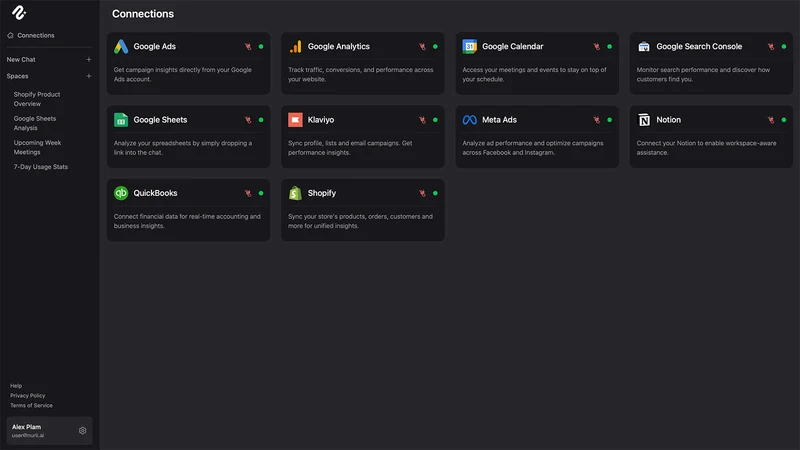 Nurii ‑ AI Business Assistant
