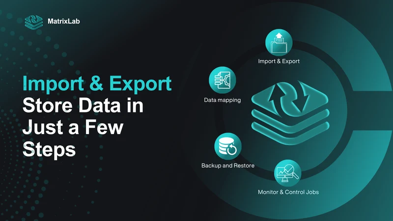 MatrixLab — Export and Import