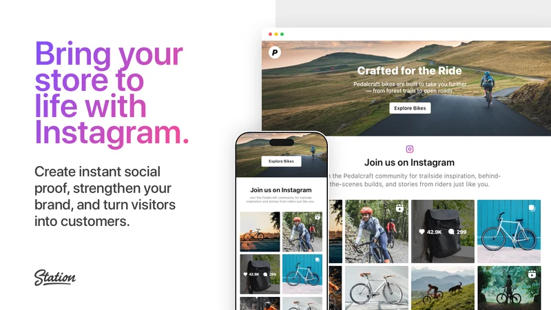 Wellmade Instagram Feeds