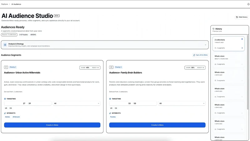 Audience+ AI Meta Segments