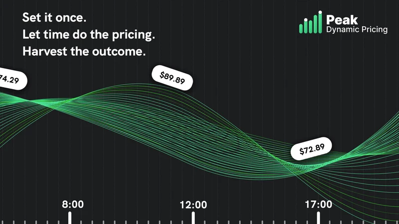 Peak ‑ Dynamic Pricing