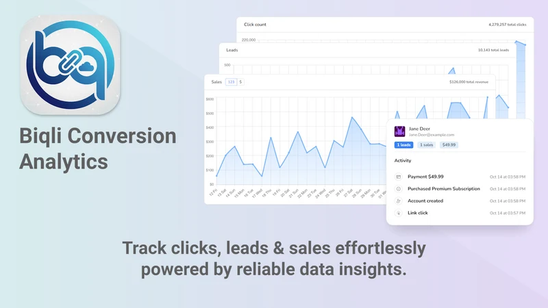 Biqli: Conversion Analytics
