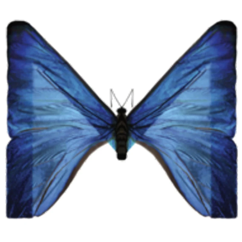 ModularCX‑3d‑viewer
