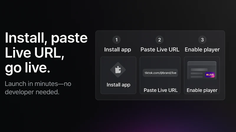 Spark ‑ TIKTOK Live Sales