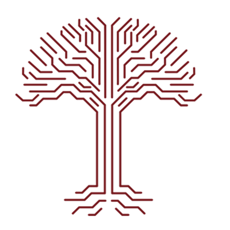 Braintree Products
