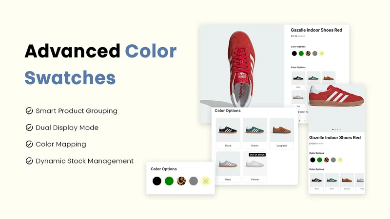 Advanced Color Options