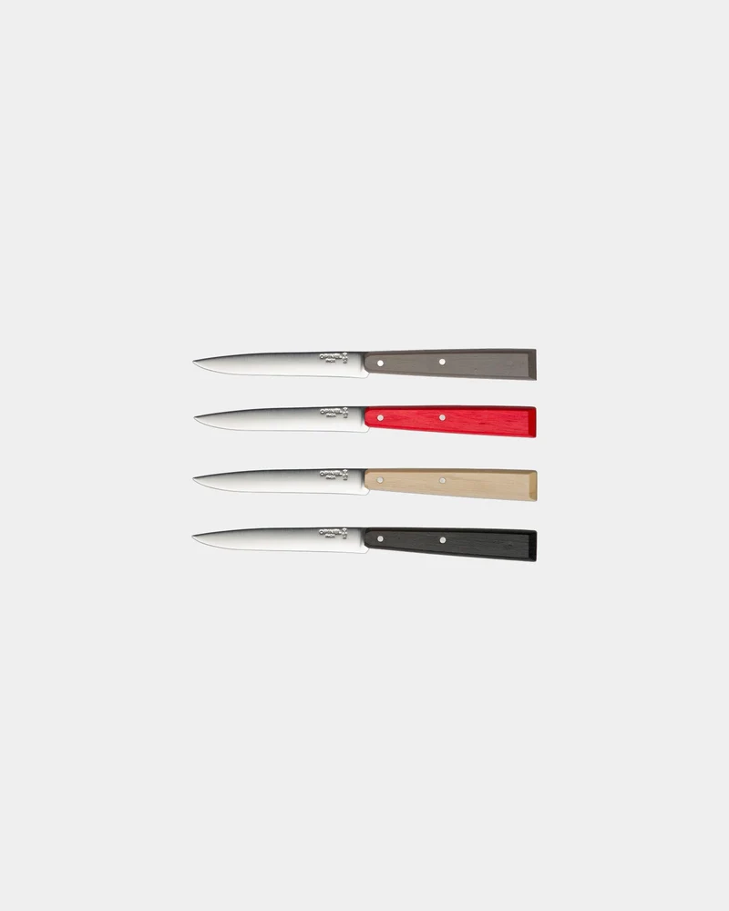 Estuche de 4 cuchillos Opinel N°125 para personalizar
