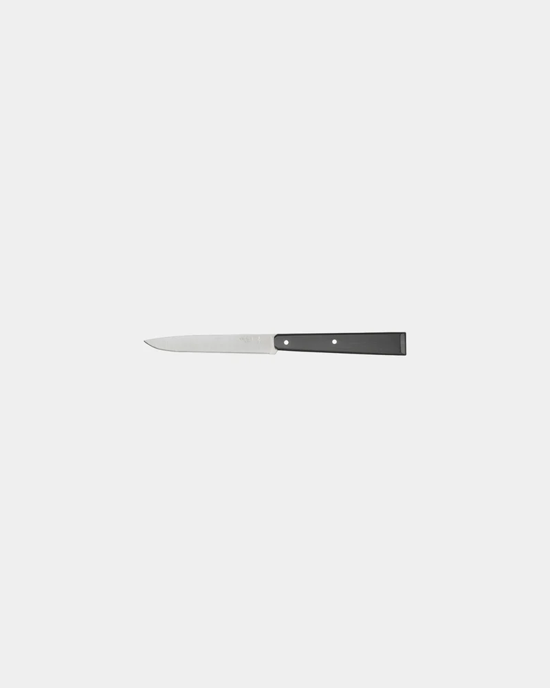 Cuchillo de mesa Opinel N°125 Pro para personalizar