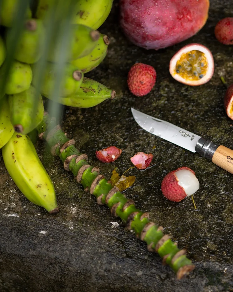 Cuchillo Opinel N°06 Baroudeur acero para personalizar