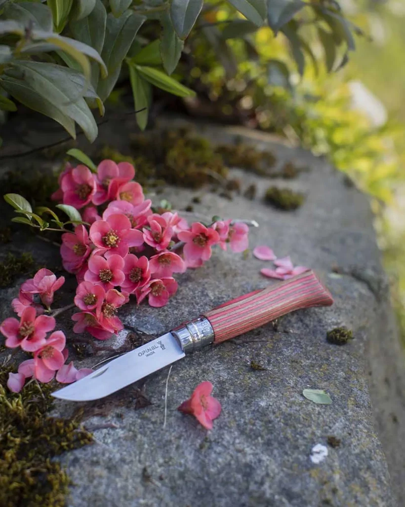 Cuchillo Opinel N°02 carbono para personalizar