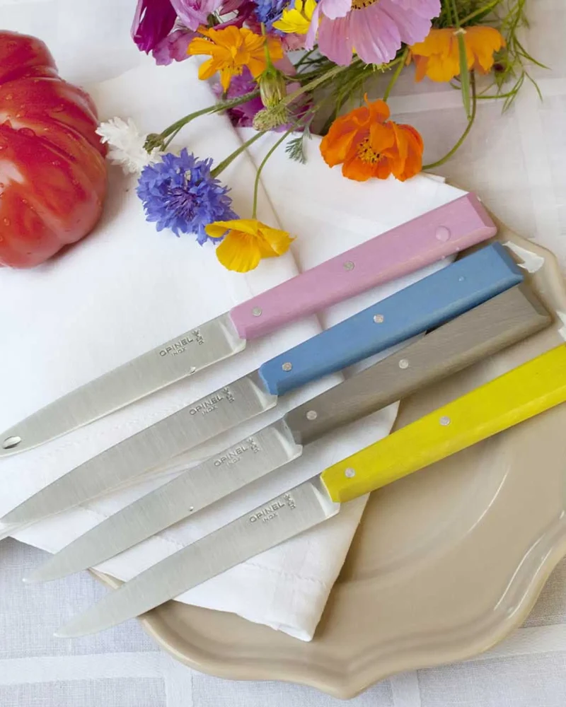 Estuche 4 cuchillos Opinel Campagne para personalizar