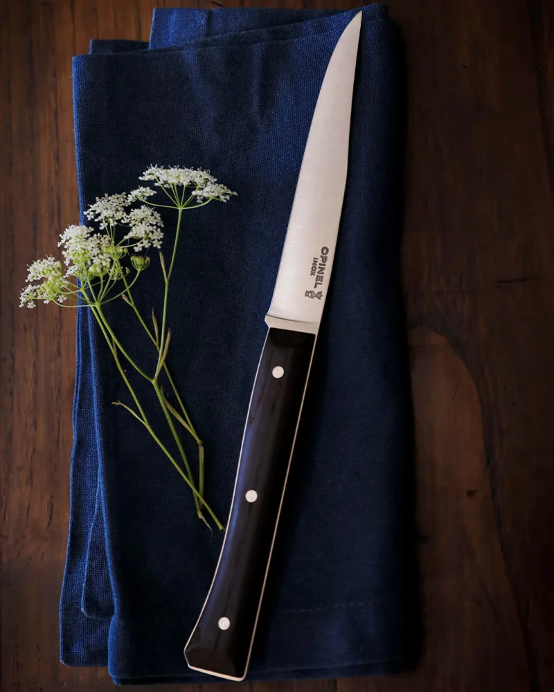 Estuche 4 cuchillos de mesa Opinel Facette para personalizar