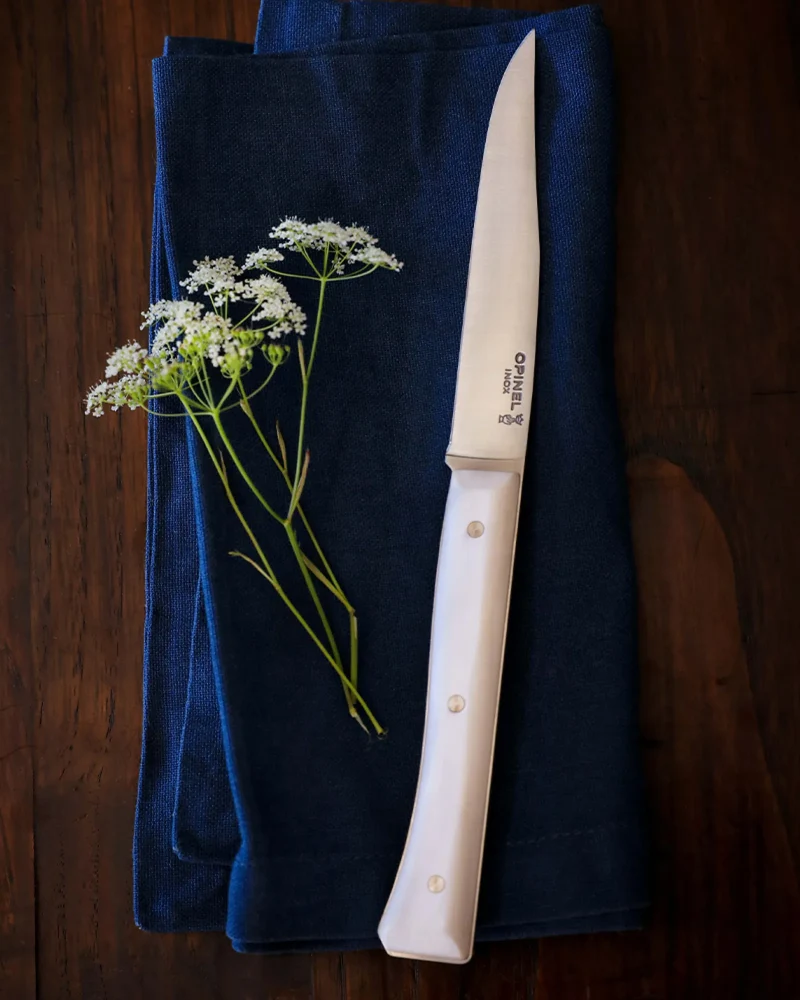Estuche 4 cuchillos de mesa Opinel Facette para personalizar