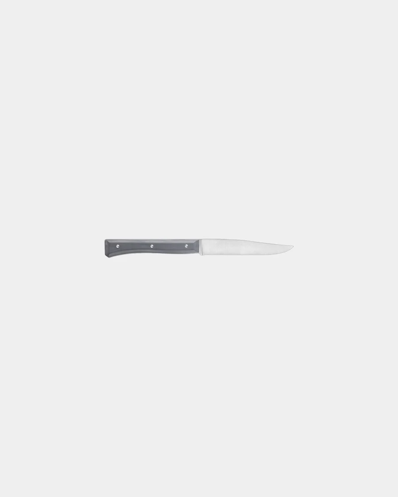Estuche 4 cuchillos de mesa Opinel Facette para personalizar