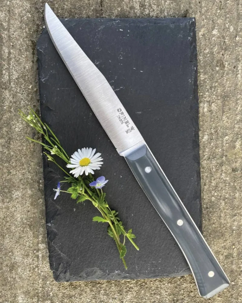 Estuche 4 cuchillos de mesa Opinel Facette para personalizar