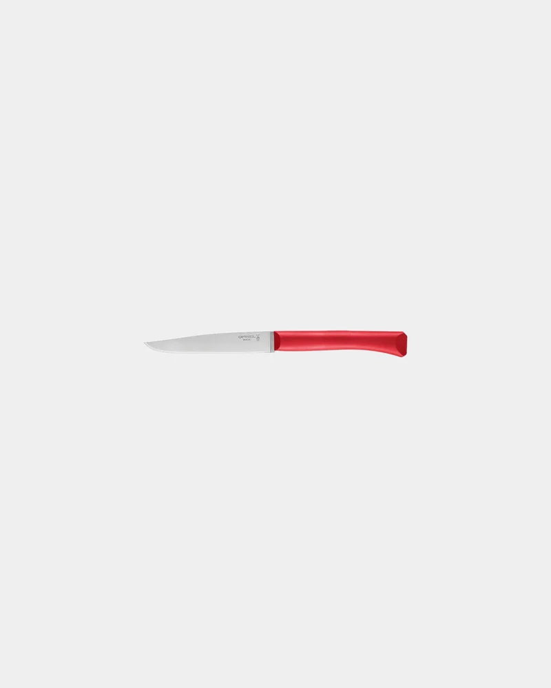 Estuche de 4 cuchillos Opinel Bon Appétit para personalizar