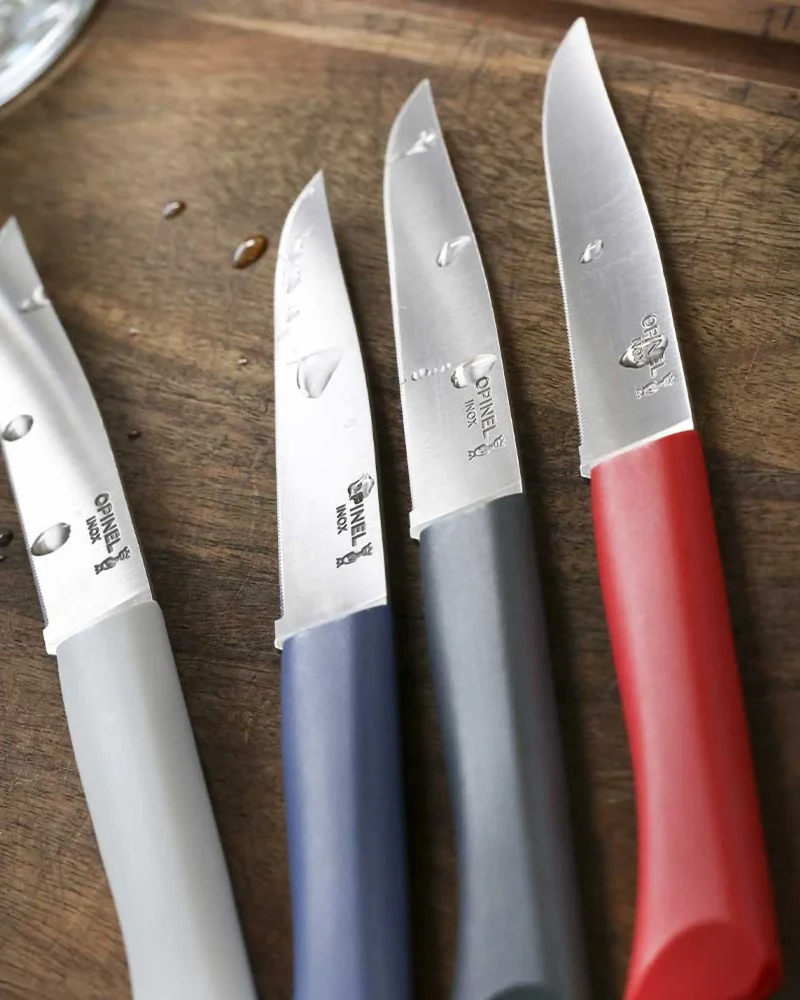 Estuche de 4 cuchillos Opinel Bon Appétit para personalizar