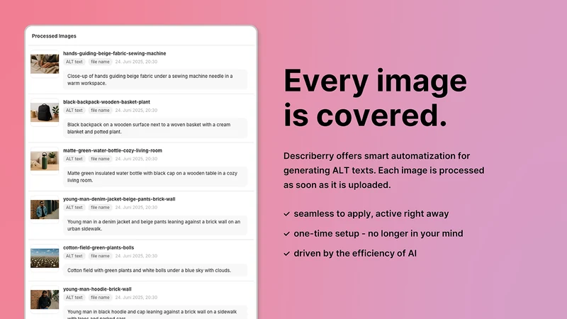 Describerry ‑ Image ALT Texts