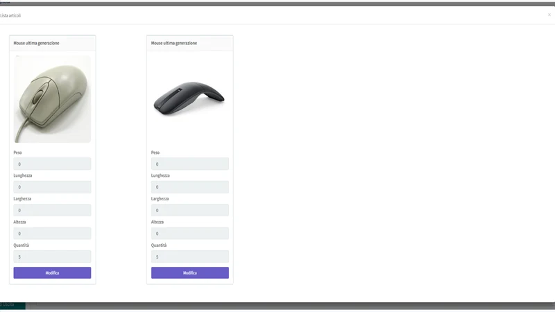 Rete Logistica ‑ eCommerce