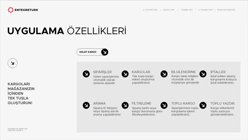 EntegreTürk‑DHL Kargo Türkiye