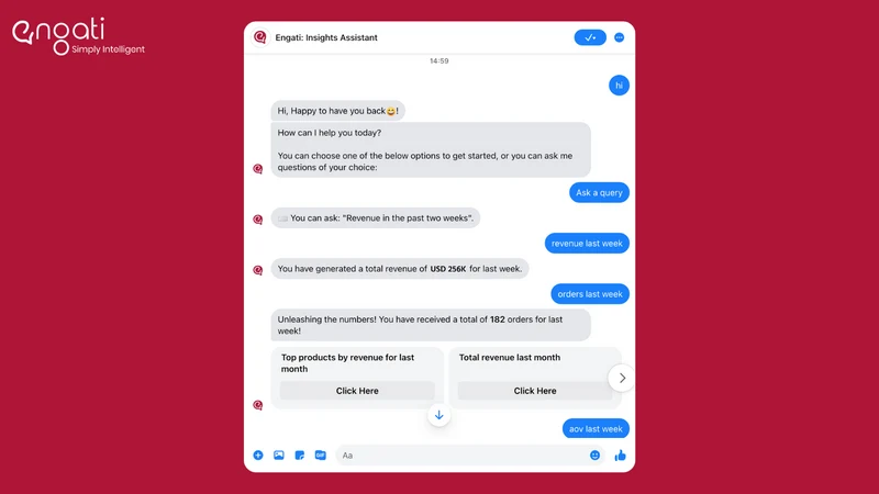 Engati: Insights Assistant